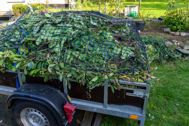 Best Furniture Removal  in West Wareham, MA